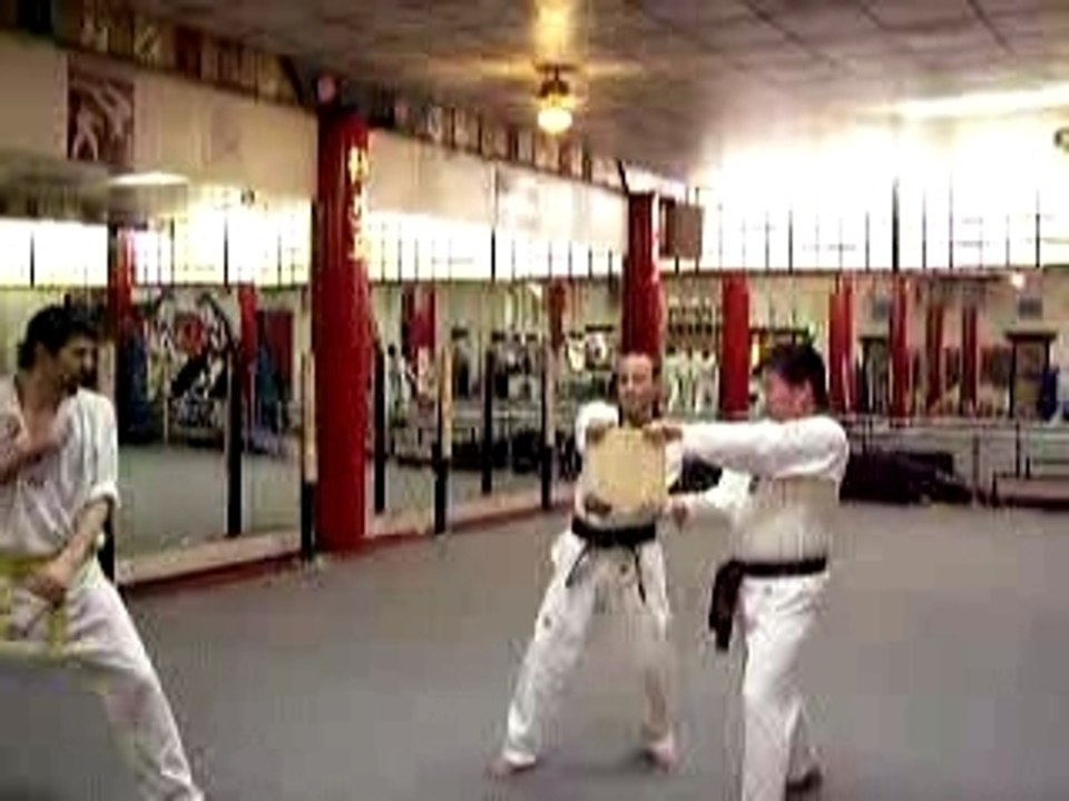 tae kwon do green belt test
