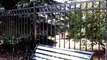 Find Safe and Quality iron railings in Roseville, Galt, Lodi & Rocklin. Visit http://ironoutlet.com/railings/