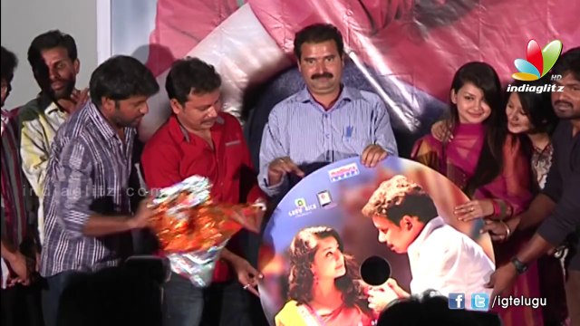 Arya Chitra Audio Launch