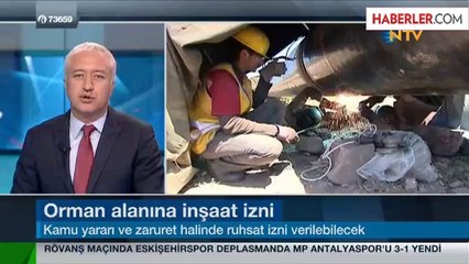 Ormanlık Alanlar İşletmelere Açılıyor