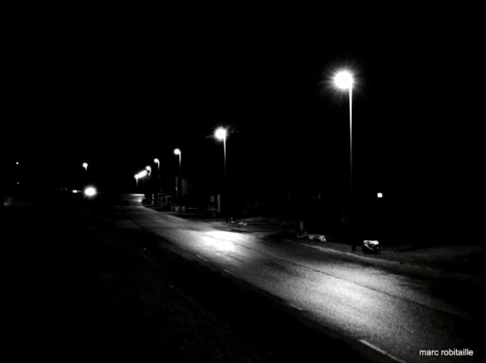 le style de l homme libre - music (light of my life)