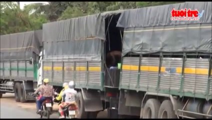 Xe chở quá tải nối đuôi trên quốc lộ 20