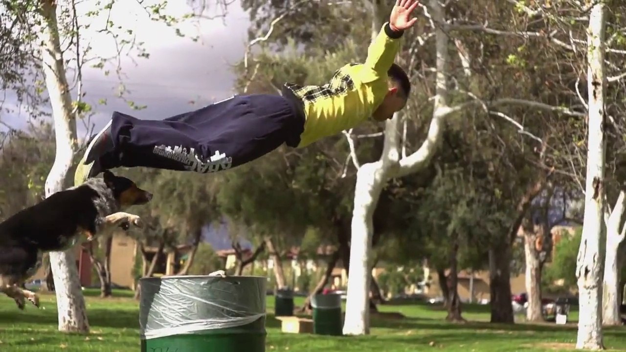Jumpy The Parkour Dog in Slow Motion