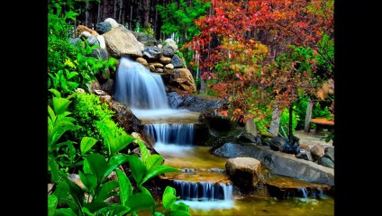 Yalan Dünya (Küçük Kıyamet)