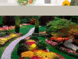 Your One Stop Daily Living Essentials Gateway