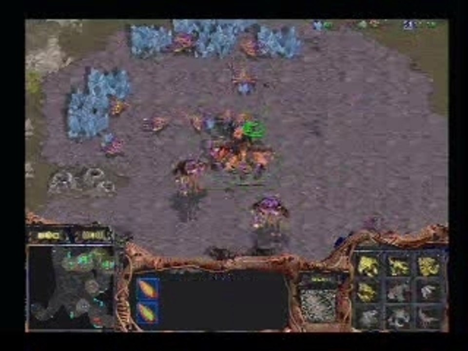 Yellow vs Elky