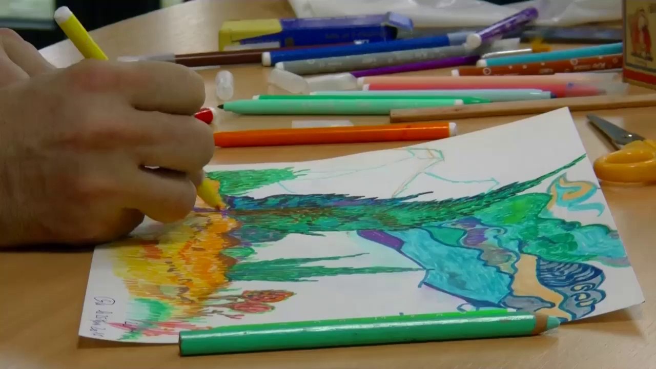 Conseil de la vie sociale, mode d'emploi