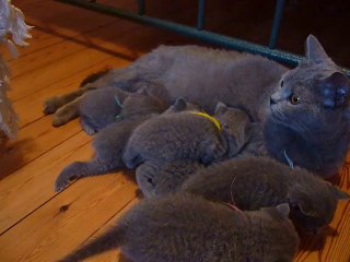 on commence à avoir envie de bouger