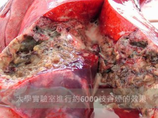 Une vidéo qui va vous convaincre d'arrêter de fumer