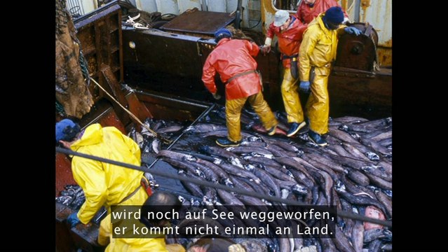 Tristram Stuart: The global food waste scandal (German sub)