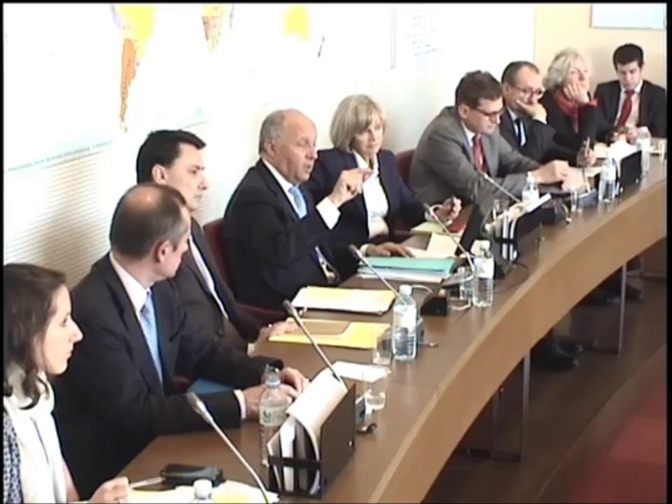 Seybah Dagoma - Audition de Laurent Fabius - Commission des Affaires étrangères - 15 avril 2014
