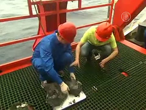 Китайские учёные нашли гидротермальную руду рядом с Японией