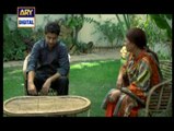 Shehr E Yaran Episode 14 April 2014