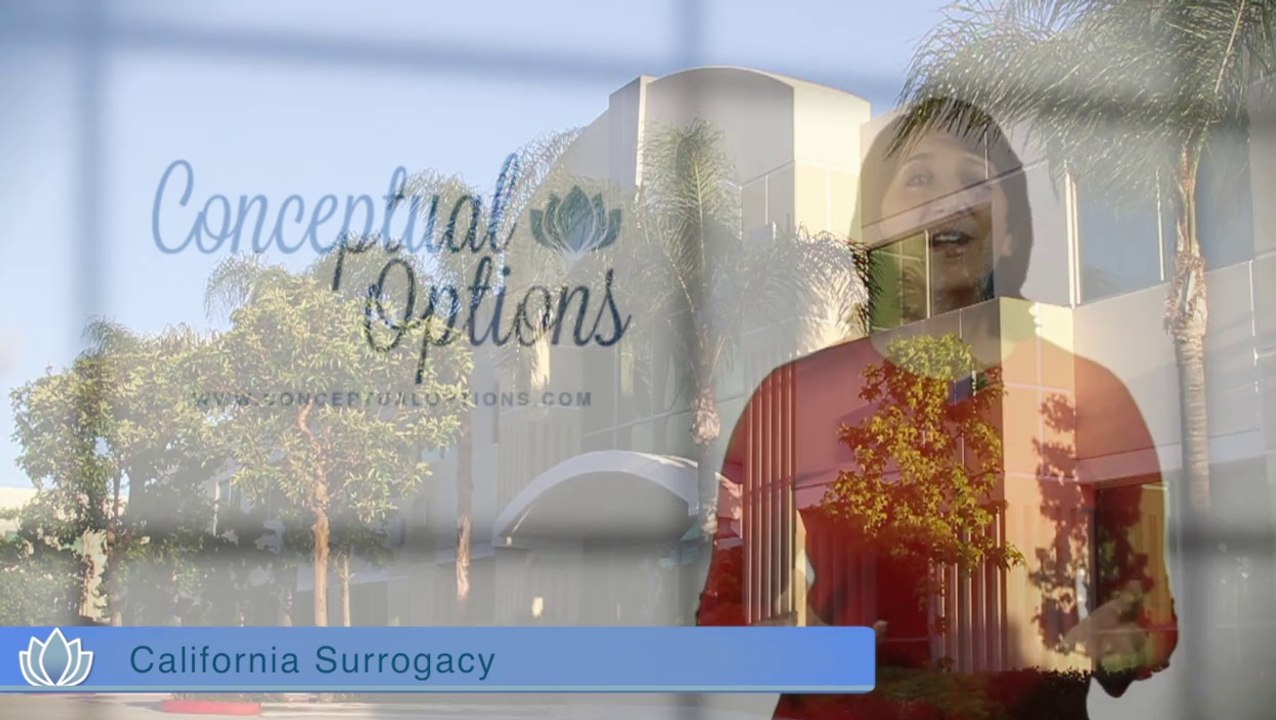 California Surrogacy Agency - Conceptual Options