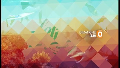 Le rendez-vous des plus grands riders du monde - Bande-annonce - 20/04