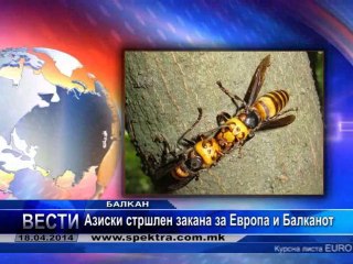 TV SPEKTRA VESTI 18.04