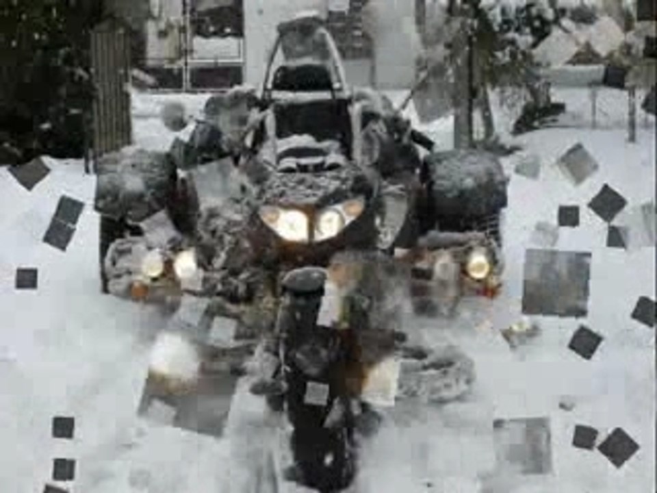 diaporama desire dans la neige