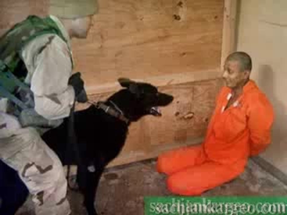 This video Shows the Huminity