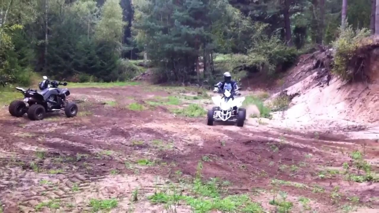 Quadpower Dinli 450