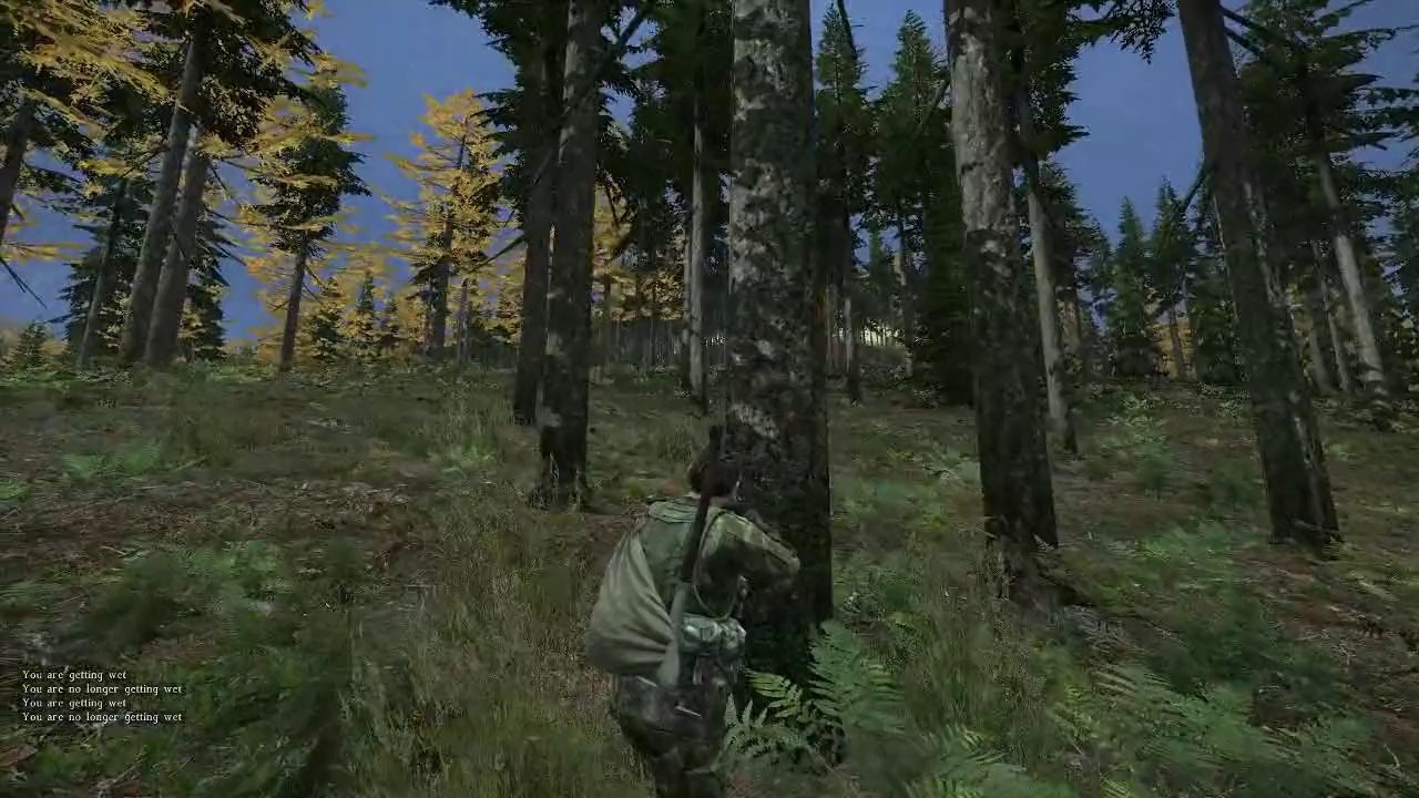 Berezino [gi] squadfail
