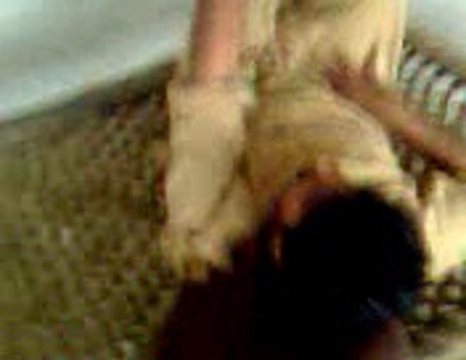 video0000