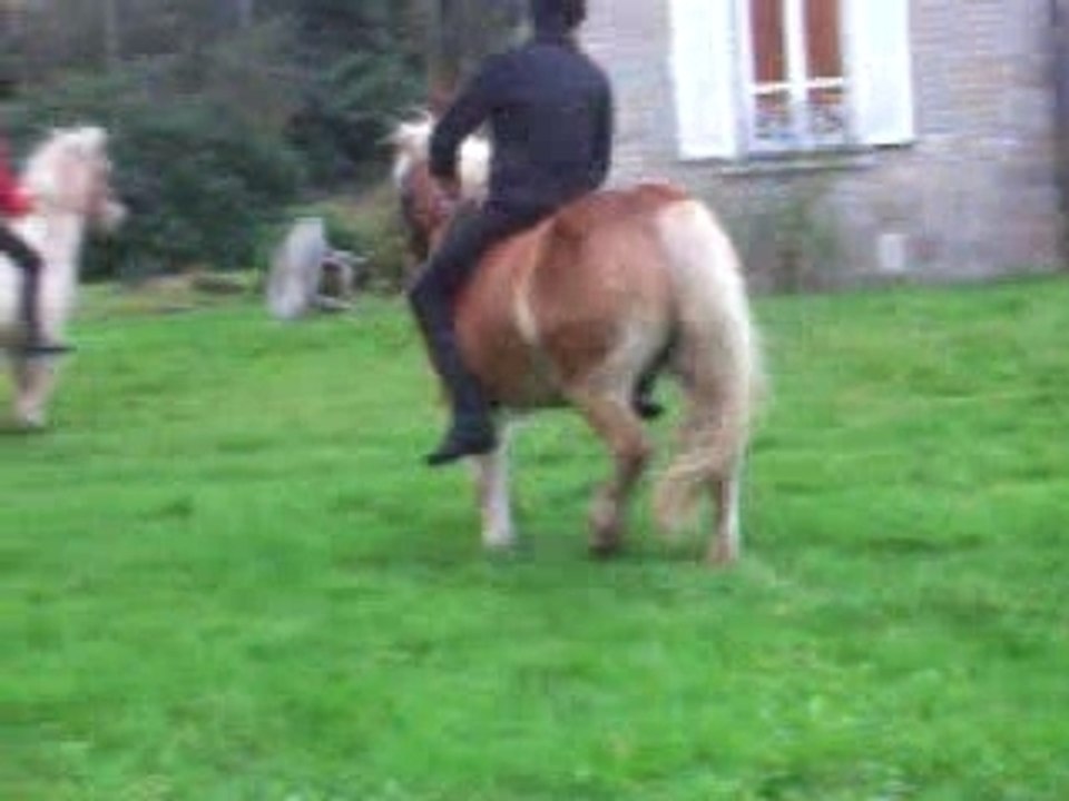 BRETAGNE SUITE