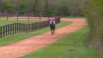 OSARUS Lot 7 - Sagapo