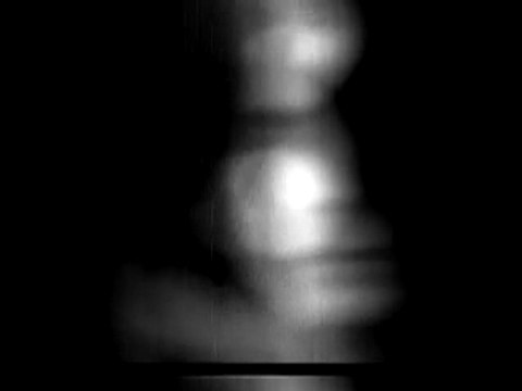 Vivantes lueurs / P-Y Cruaud