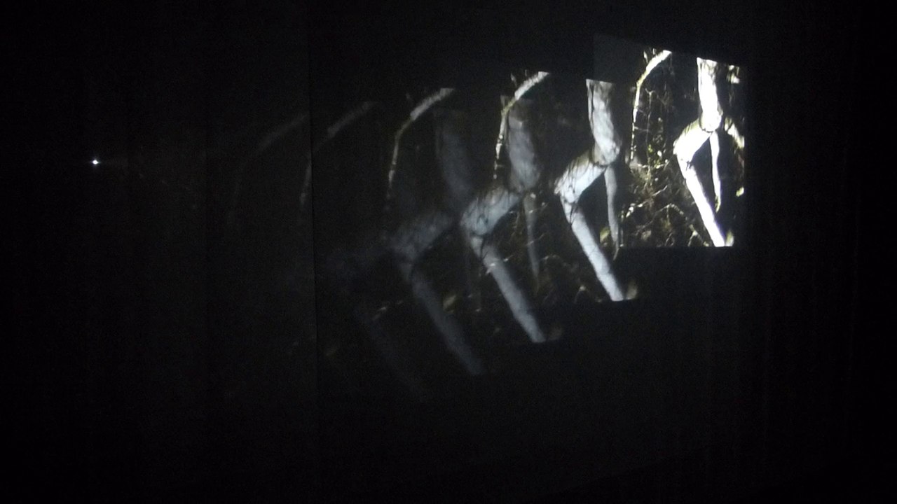 Bill Viola, The Veiling