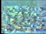 13η ΑΕΛ-Ολυμπιακός 2-0 1982-83 Στιγμιότυπα