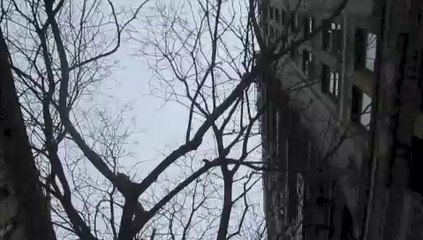 Data Analysis: Sexes and Time Calculation 📊