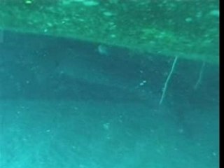 Murène - Ile Maurice 2002