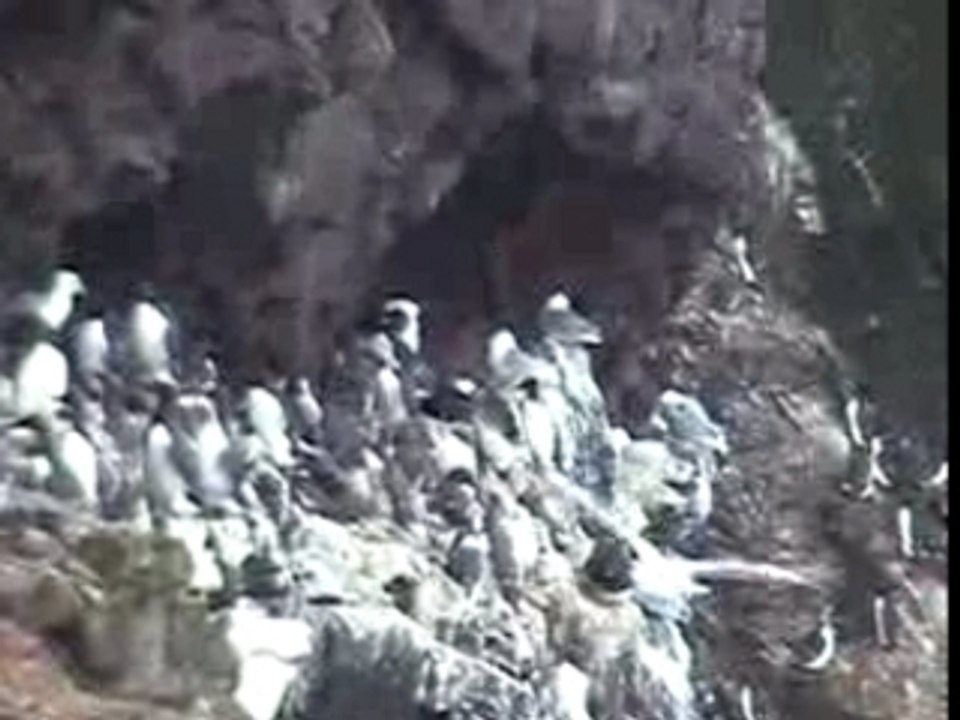 7 latrabjarg