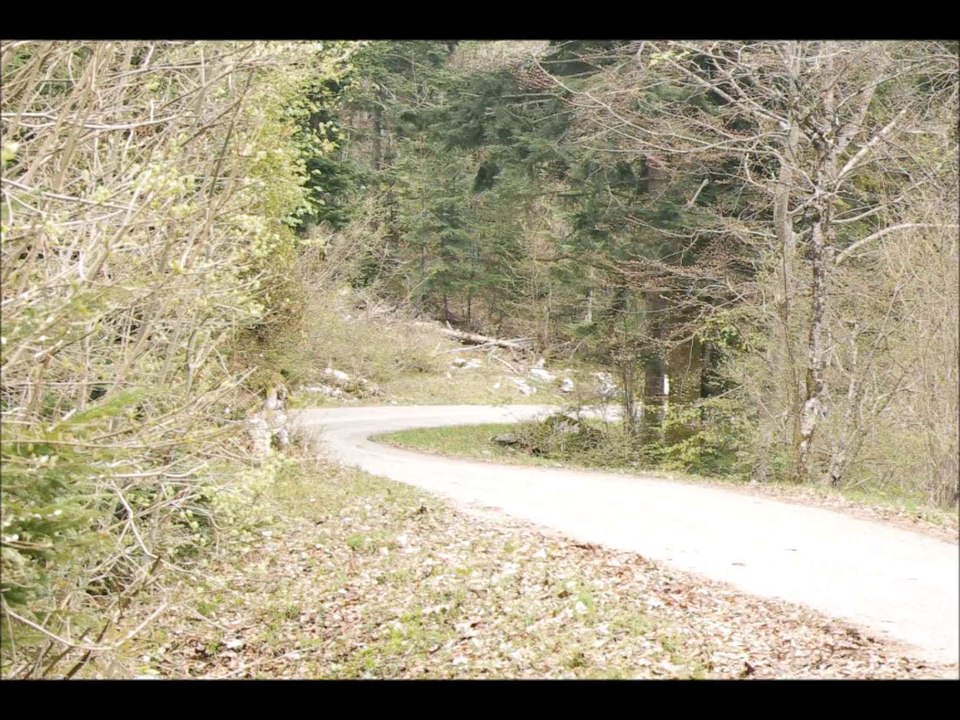 ESSAIS  MCB CLIO R3 faverges 2014    PUBLIASSOCIATION RALLYE TEAM