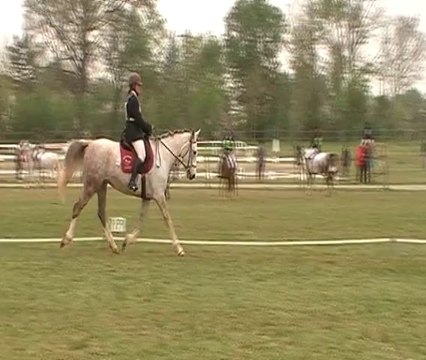 Laura et Quali, Dressage Club 3 CCE au Vernet, 13 avril 2014