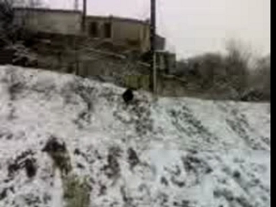 Clem le freestyle luge