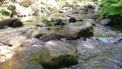 alayı sal büyüsün yine gelsin