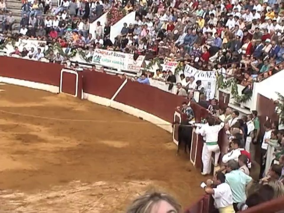 Course Landaise (Oh la vache!)