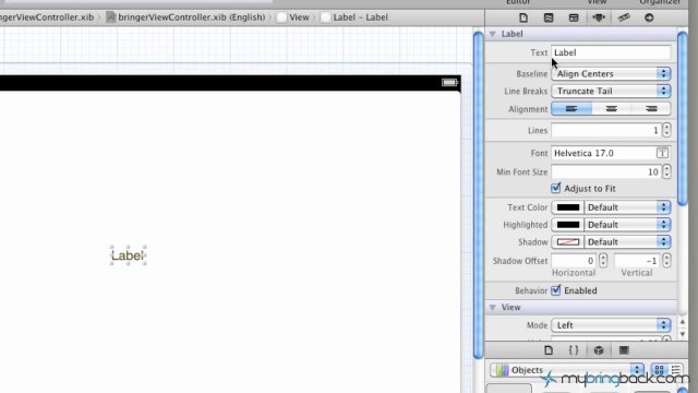 Learn Xcode 4 Tutorial iOS iPad iPhone 1.2 Xcode Overview Basics