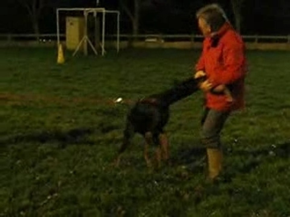 mordant blueberry boudin 1