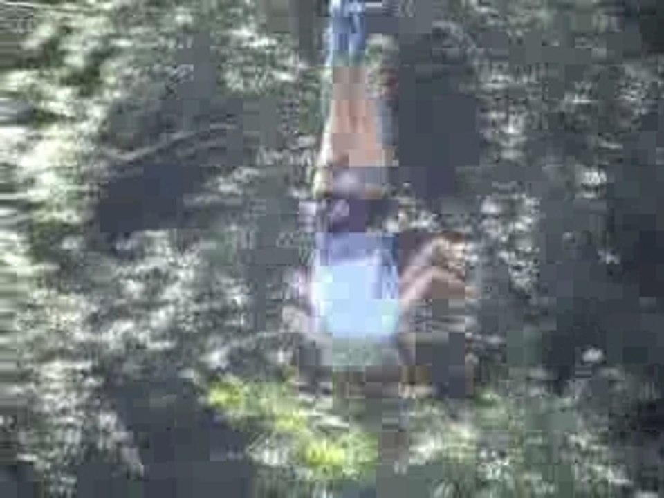 saut jarod elastique