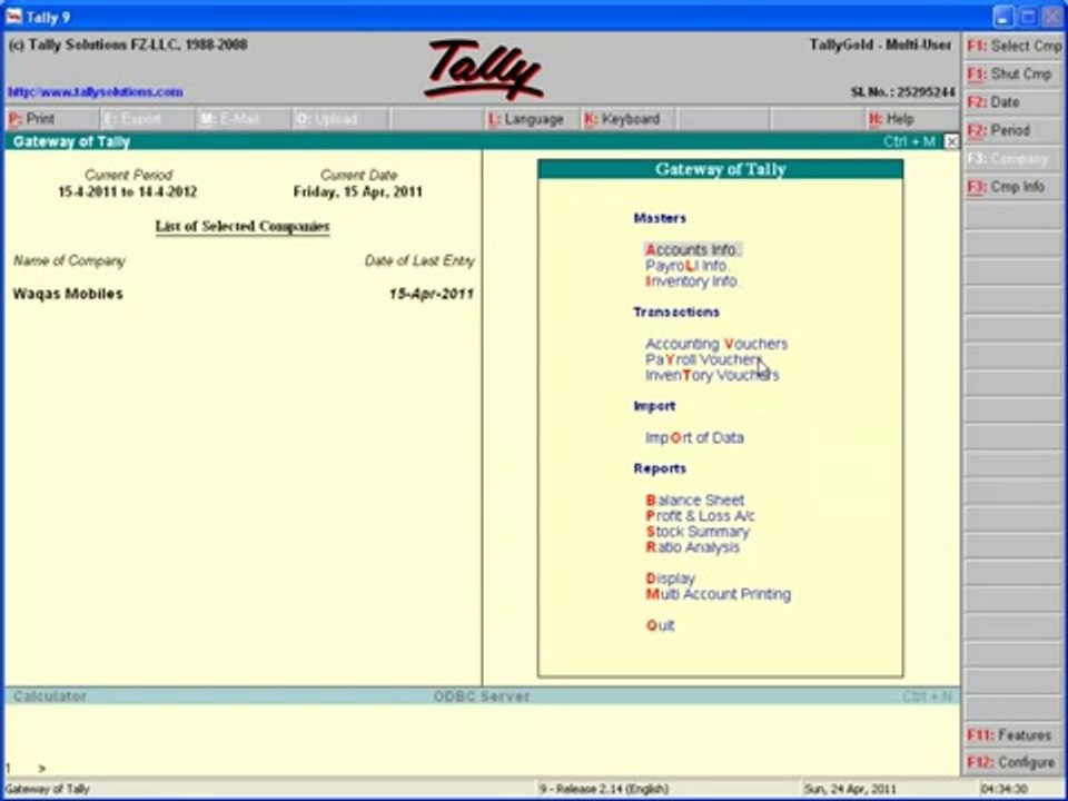 Tally Part 28 Urdu Tutorials