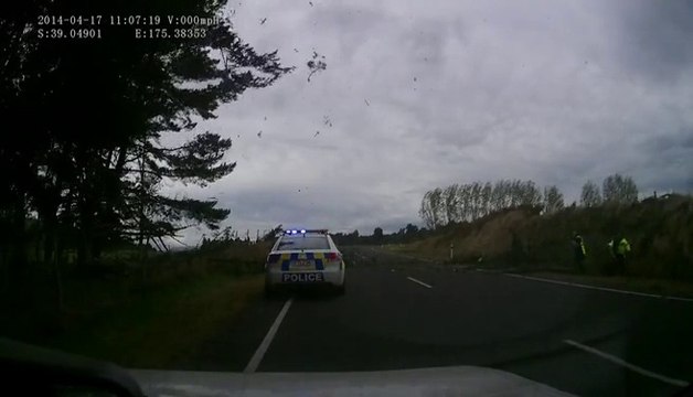 Tree VS Policemen... So violent storm!