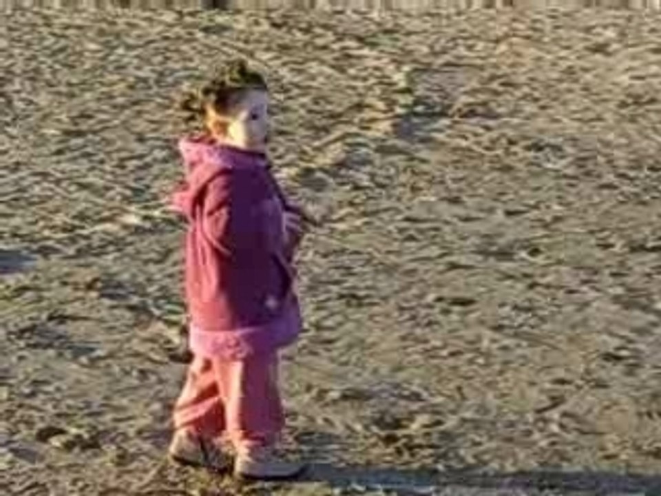 Bonne Année les amis