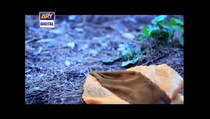 Sannata (Song) - ARY Digital | Heartwarming Story of Cousins' Unbreakable Bond 🎶