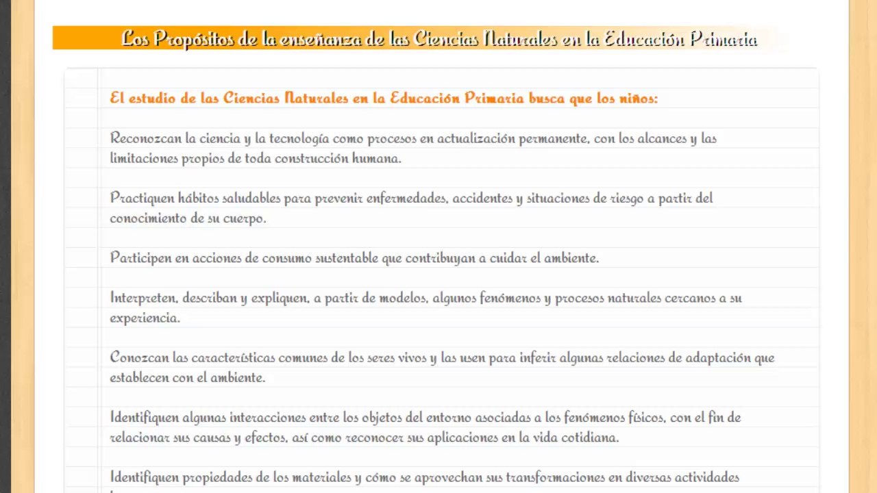 Día Diecinueve