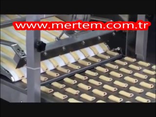 ÇOK FONKSİYONLU BİSKÜVİ - DOLGULU-DOLGUSUZ KURABİYE MAKİNALARI - 1