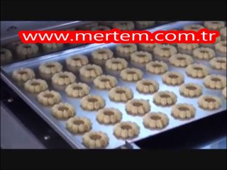 ÇOK FONKSİYONLU BİSKÜVİ - DOLGULU-DOLGUSUZ KURABİYE MAKİNALARI - 2