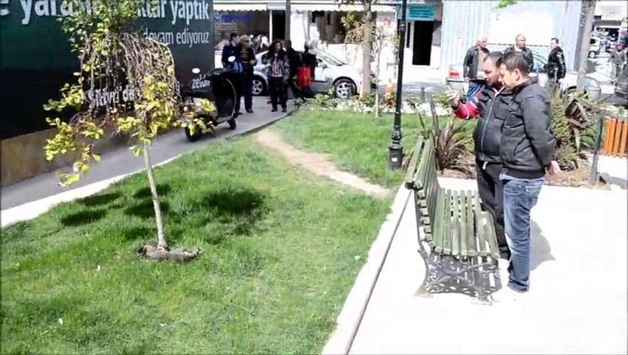Kedi parkta oturanı ısırdı
