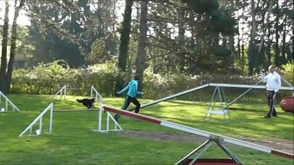 Hindi et Michelle entrainement d'agility du 13/04/2014